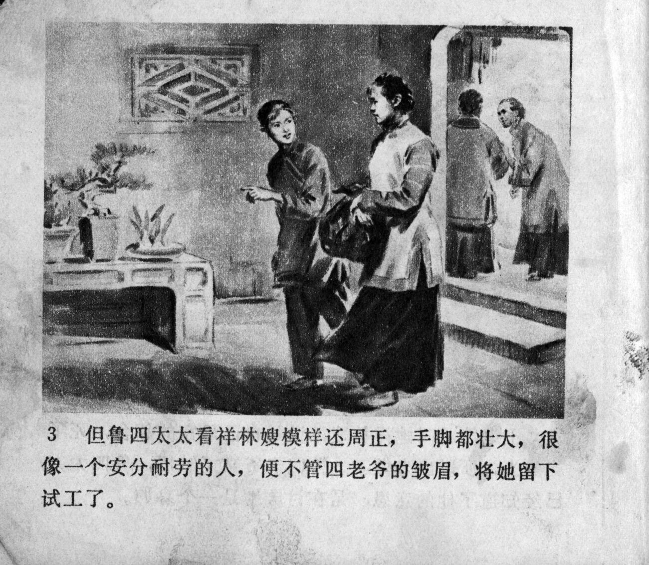 zhufu panel